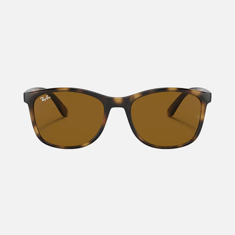 Óculos de Sol Ray-Ban 4374 Havana Vista Frontal