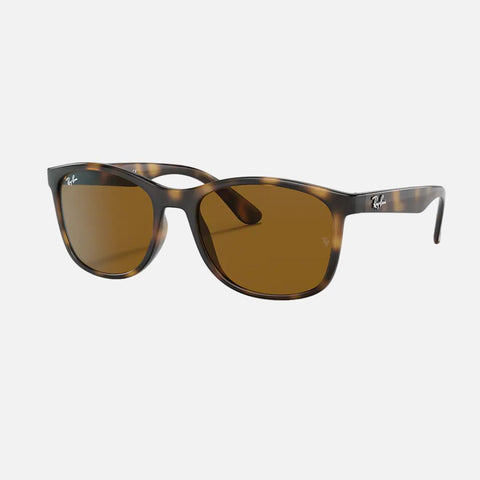 Óculos de Sol Rayban 4374 Havana Vista Lateral Direita