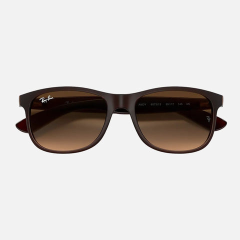 Óculos de Sol Ray-Ban Andy 4202 Castanho Escuro Vista Ciima